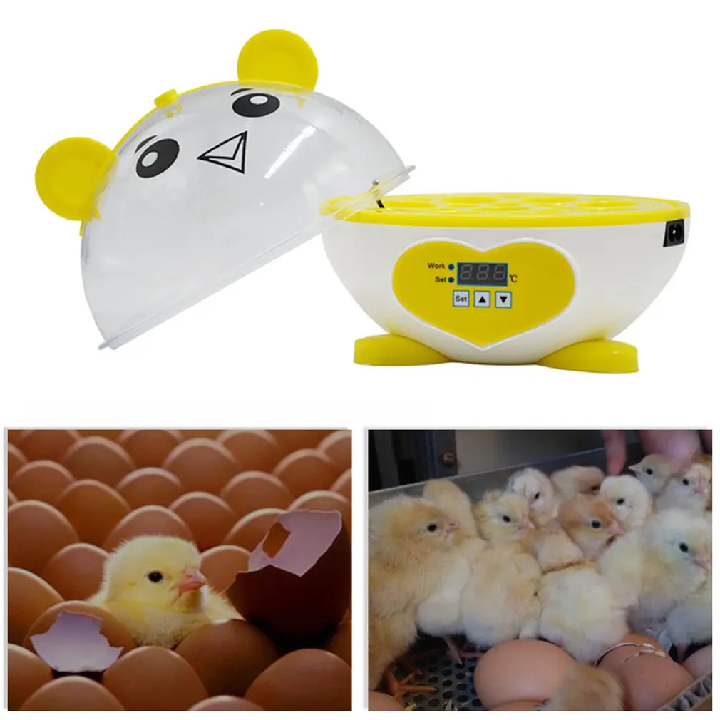 

20W Cute Mini 9 Eggs Incubator Incubation Brooder Manual Egg Incubator Digital Temperature Adjustable Hatcher