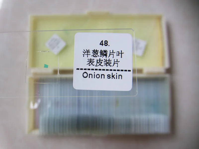 

50pcs Lab Use Bio-Microscope Glass Prepared Student Children Microscope Slides Specimen for Students Biological Microscope