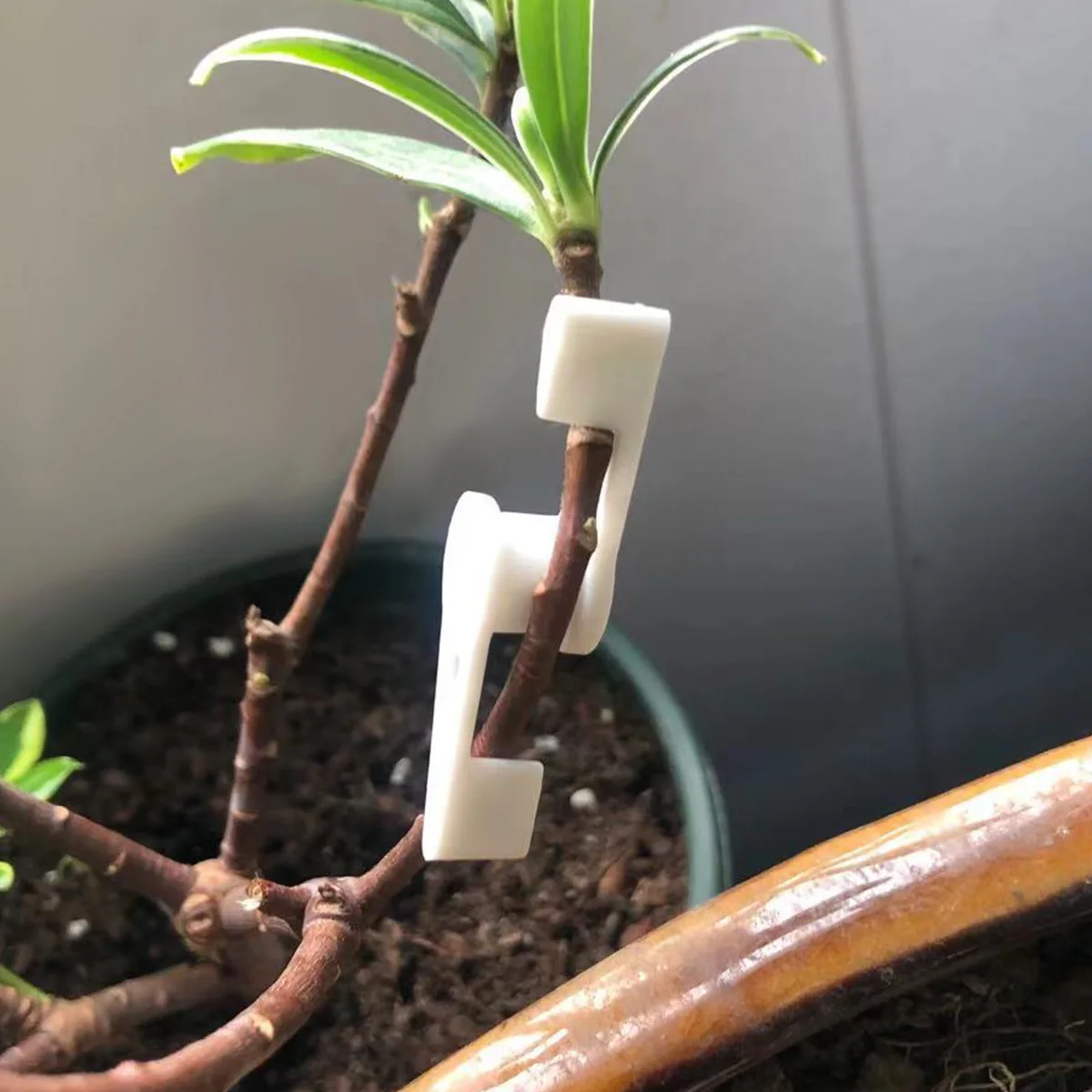 

10Pcs 360 Degrees Adjustable Bend The Plant Clip Plant Bender For Low Stress Training Plant Training Curved Garden Plant Holder
