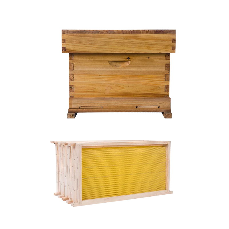 Вощеный одноуровневый улей и 5 шт. оснований для основы пчелового воска в рамке