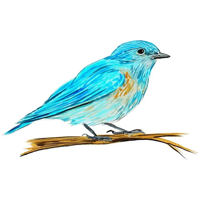 

Car Sticker Decal for Window Refrigerator Home & Wall NY State Bird Bluebird Personality Stickers Waterproof KK13*8cm