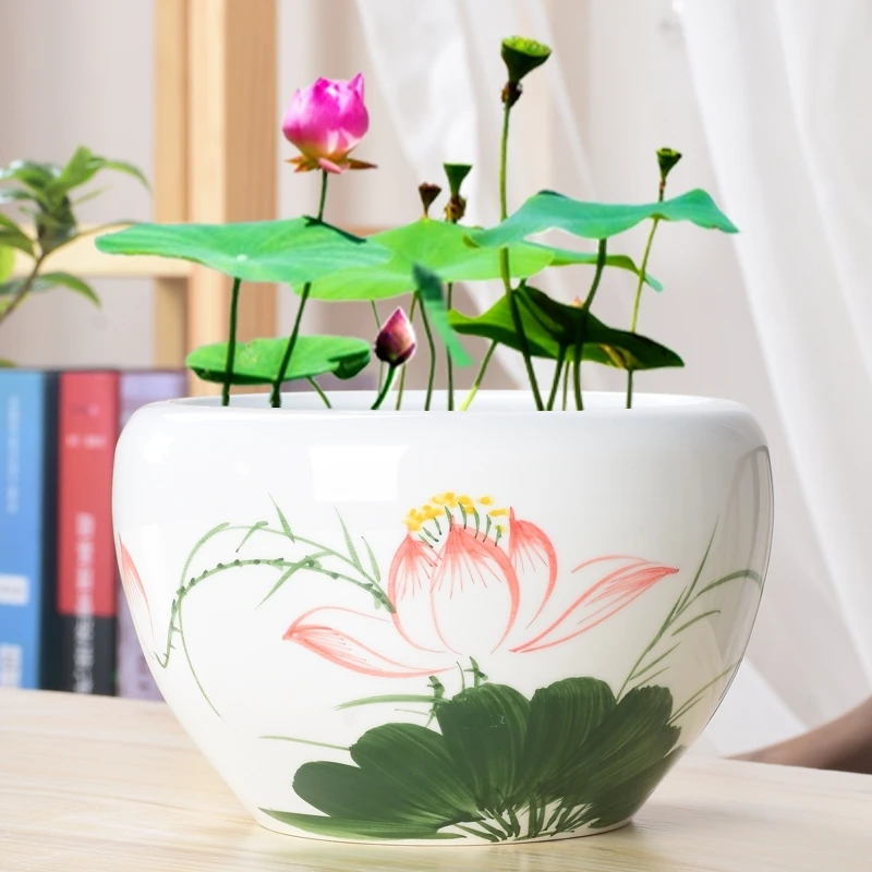 Украшения для сада на открытом воздухе гидропоники горшки рост лотоса миска воды