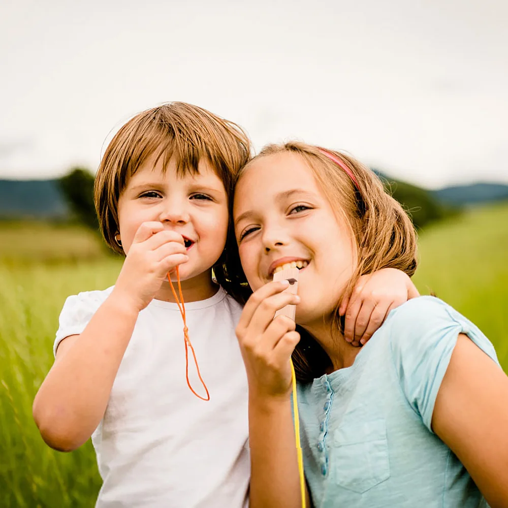 

2Pcs Wooden Train Whistles Toys Cartoon Whistle Kids Musical Instrument Gift