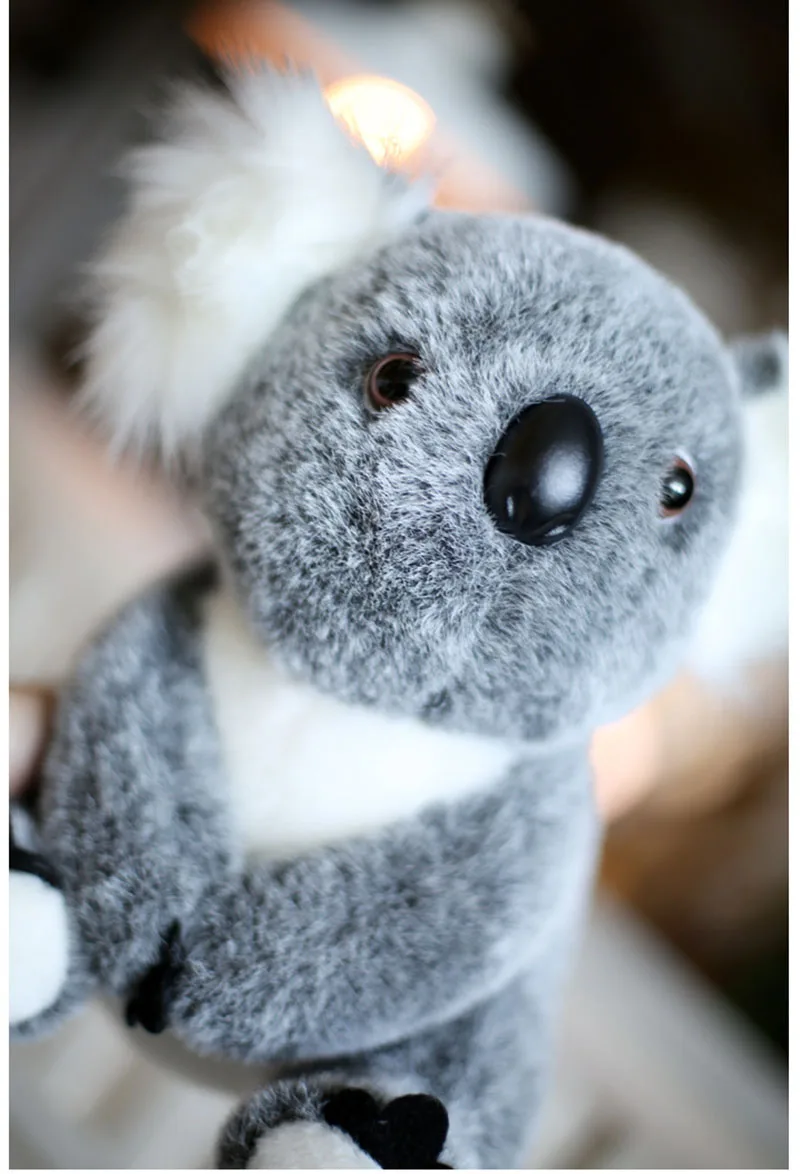 Плюшевые игрушки Kawaii Koala 28 см плюшевый мишка коала мягкая кукла Супер милое