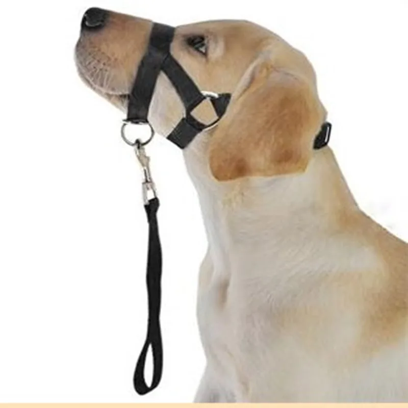 Фото Ошейник на голову для домашних питомцев мягкий поводок дрессировки собак|Сопла| |