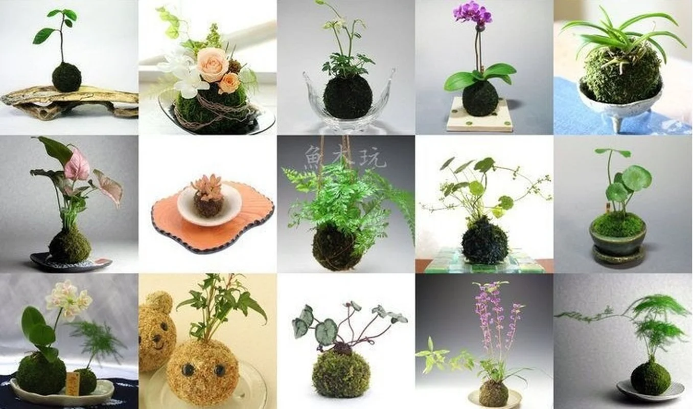 Лидер продаж мясистый цветочный горшок окрашенный МХ для домашнего интерьера