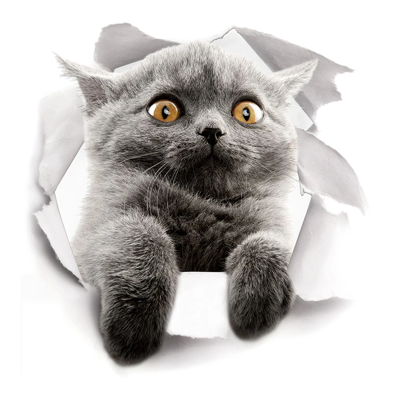 Новый креативный 3D Кот собака разбитая настенная декоративная накладка на