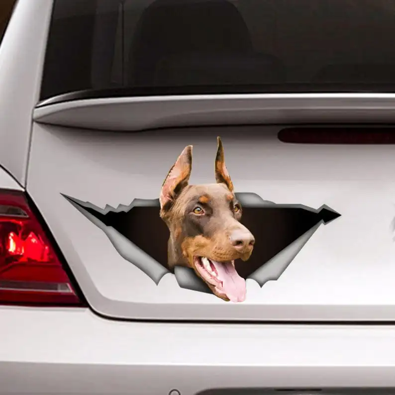 

Brown Doberman sticker, doberman car decal,pet Decal, Brown Doberman magnet, funny decal, 3D sticker