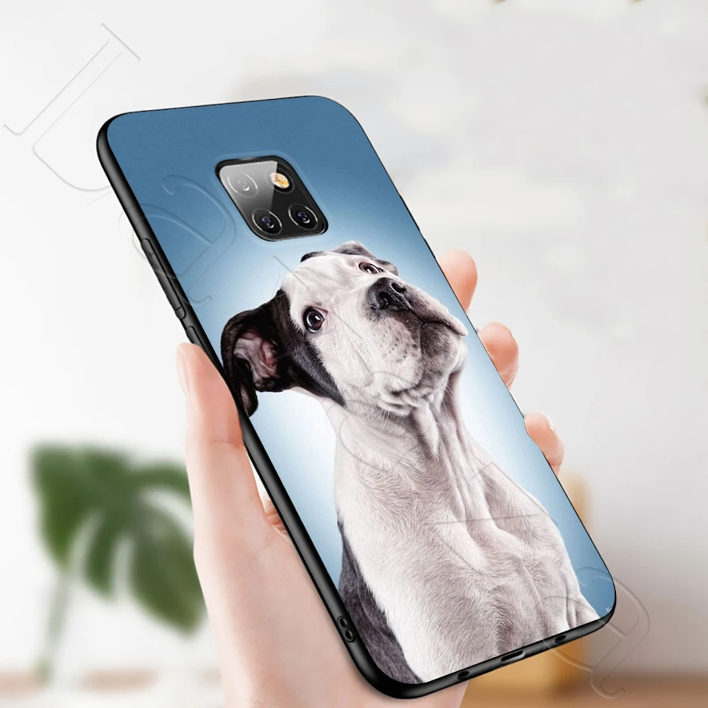 Мягкий чехол Lavaza питбулл с милой собакой для Honor Mate 10 20S 6A 7A 7C 7X 8A 8C 8X 9 P9 Lite Pro Y6 Y7 Y9 Prime