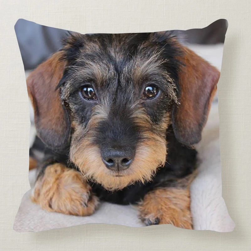 1 шт. 45*45 см милая собака подушка чехол Wirehaired подушки с таксой диван кровать автомобиль подушка чехол Спальня украшение в виде таксы Подушка бухта