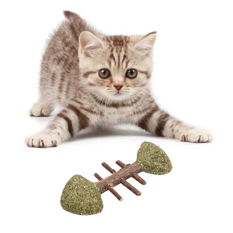 

Pet Cat Removes Hairballs To Chew On Wood Teng Toys For Dogs Cats Accessories