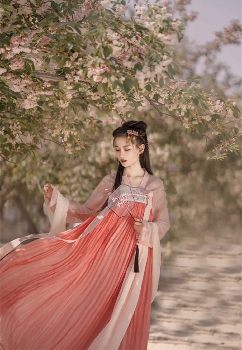 

Chinese Clothing Dress Ancient Women Dance Dress Performance Stage Fairy Princess Skirts Embroidery Tang Costume Hanfu Outfit