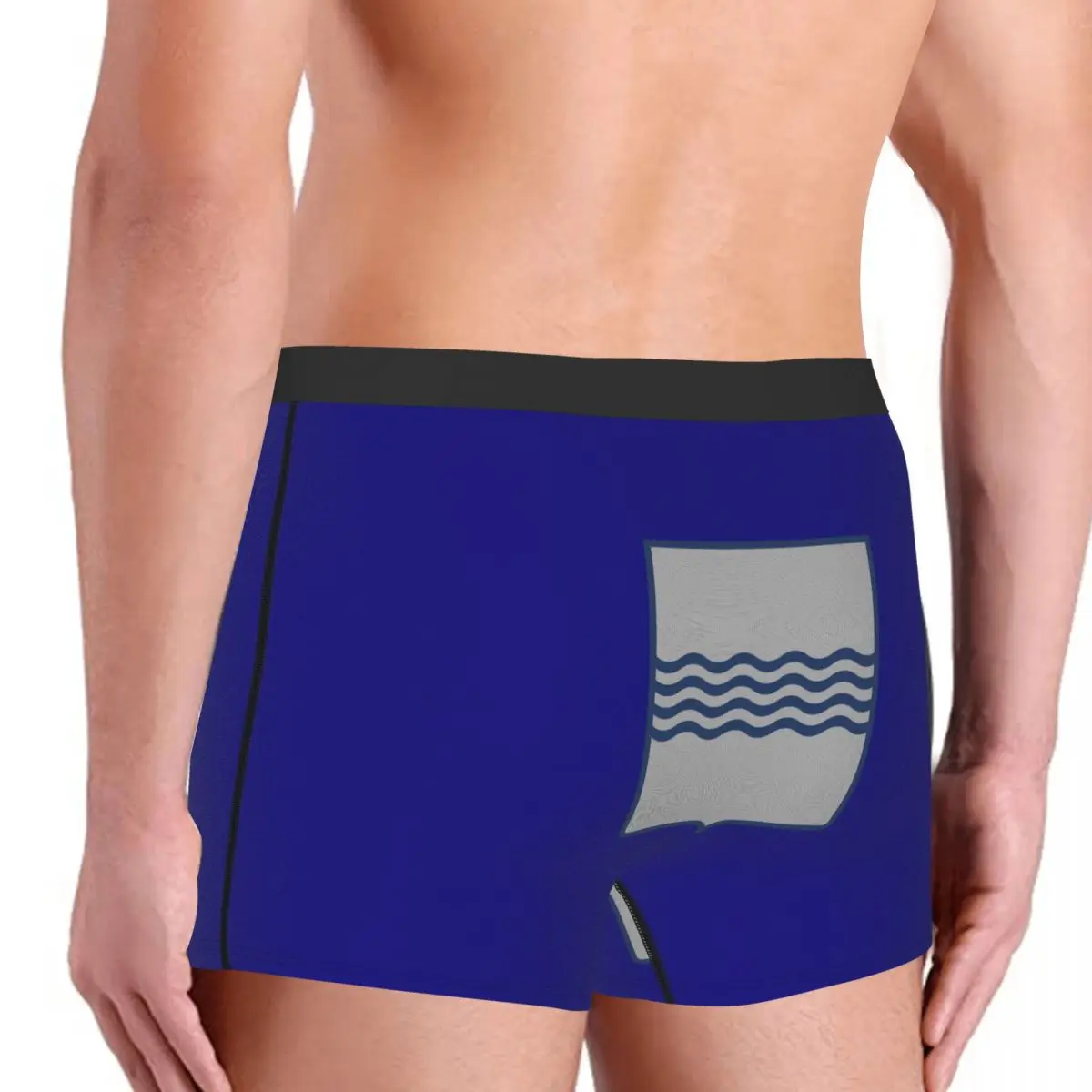 Flag Of Basilicata Men's Boxer Briefs regions of Italy Humor Graphic Men's boxer leggings