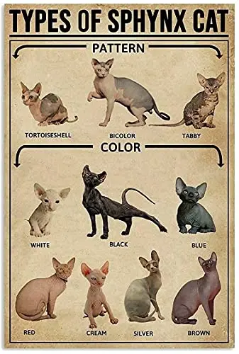 

Знания о кошке Sphynx, художественный Настенный декор в стиле ретро, металлические жестяные знаки, печать о кошке Sphynx, постер для зоомагазина, к...