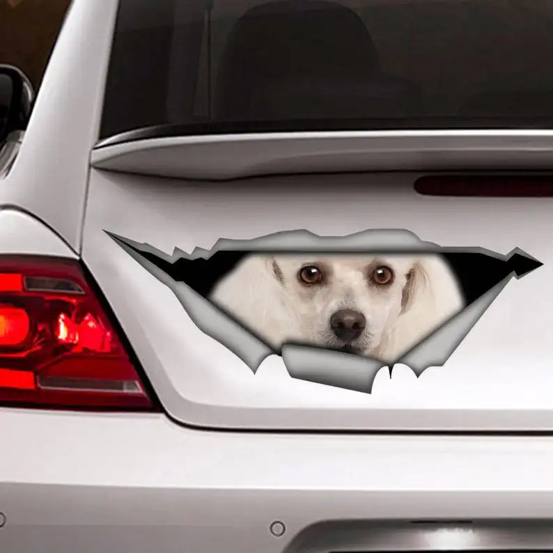 

Sticker, poodle car sticker , poodle decal, pet sticker