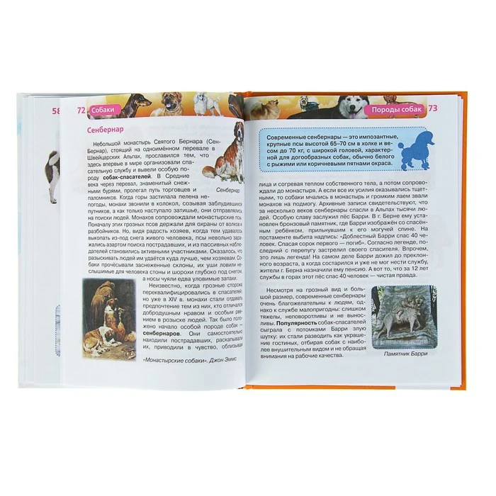 Детская энциклопедия РОСМЭН Собаки 1024773 |