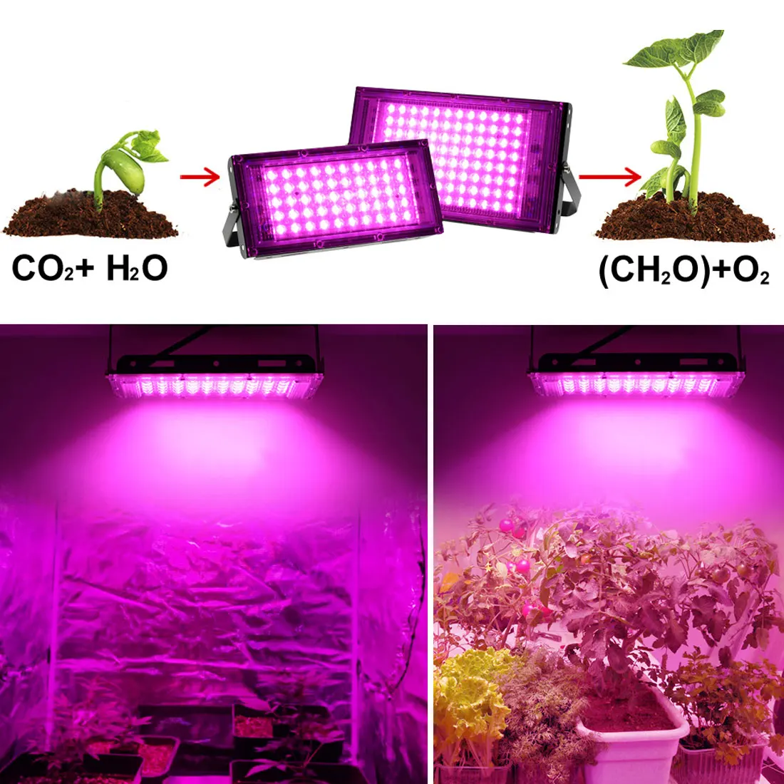 

LED Grow Light AC220V 50W 100W LED Full Spectrum Phyto Lamp Greenhouse Hydroponic Plant Growth Lighting