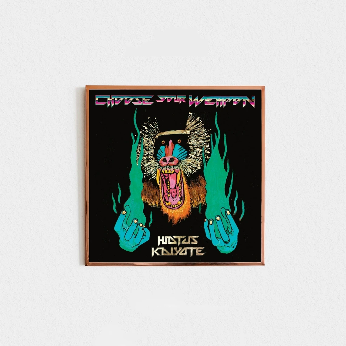 Hiatus Kaiyote-Выберите свое оружие, музыкальный альбом, Холщовый постер, Арт, хип-хоп, рэпер, поп-музыка, звезда, домашний фотоальбом