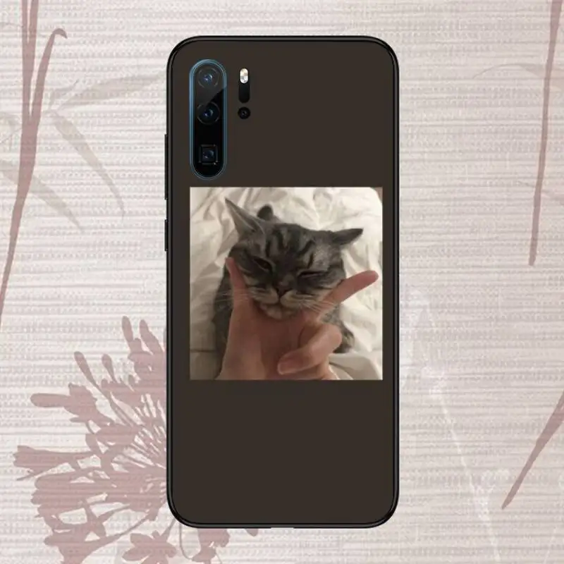 

cat dog animal cute Phone Case For Huawei honor Mate P 9 10 20 30 40 Pro 10i 7 8 a x Lite nova 5t