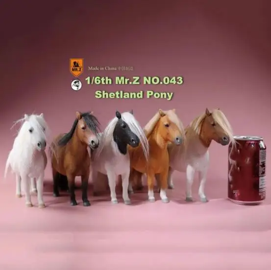 

In stock 1/6 Scale MRZ043 Mr.Z Mini Horses Animal Figures of UK, Shetland, Pony Statue Model