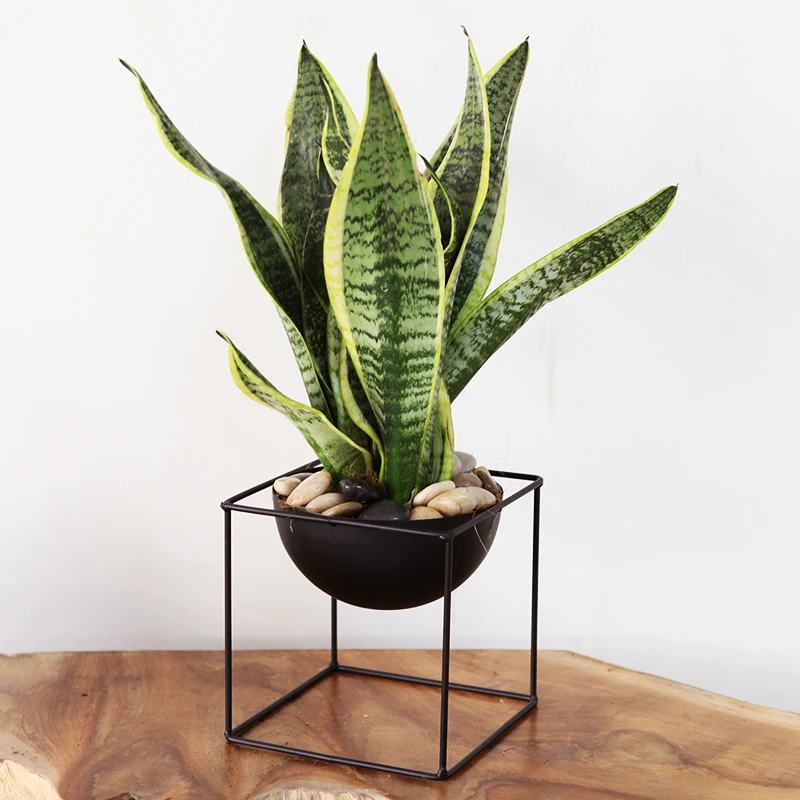 Подставка для цветов напольный балкон гостиной круглый горшок растений полка