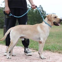dog training leash 5 color nylon basic rope medium large dogs walking big dog collar durable easy to control adjustable labrador