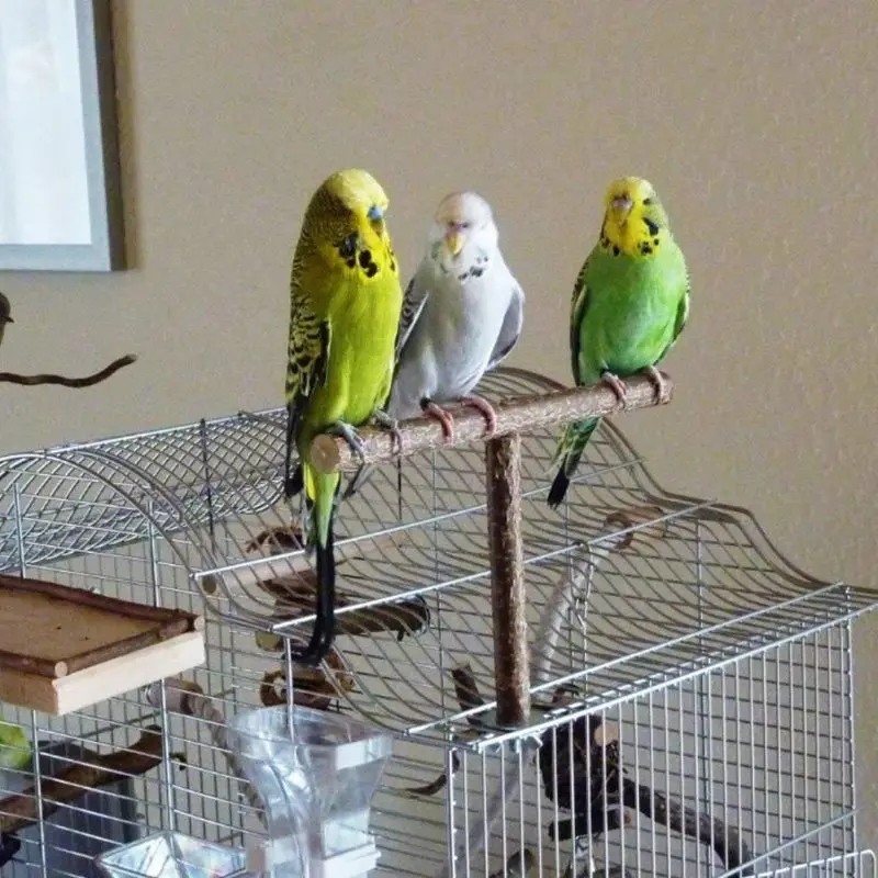 Подставка для попугаев игрушка жевания деревянная подставка домашних животных