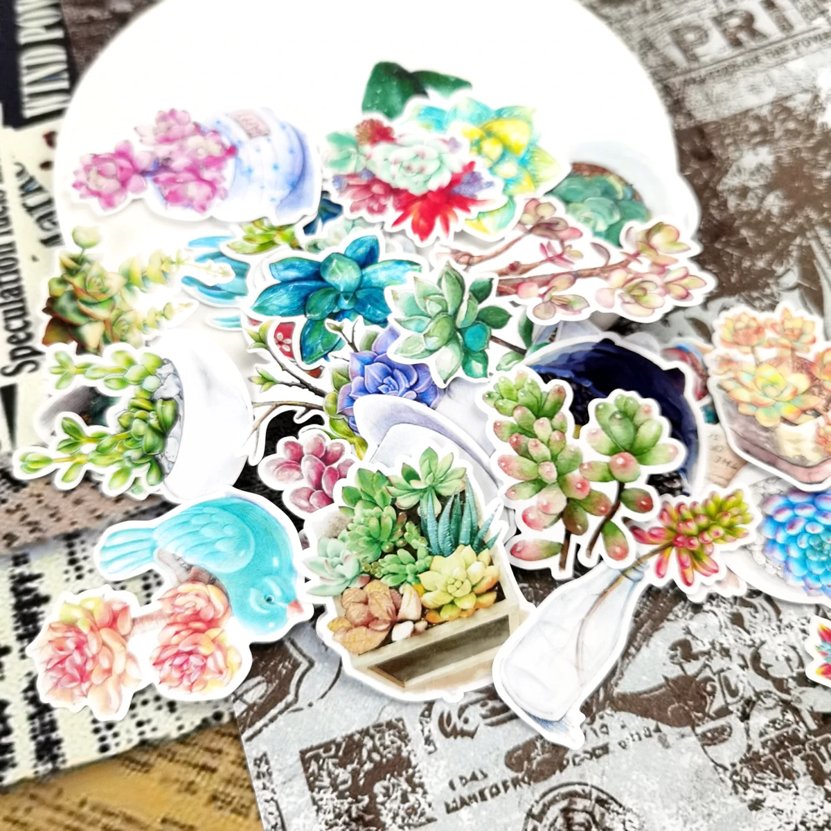 27 шт. акварельным рисунком суккулентные растения Наклейка С КАКТУСОМ дневник