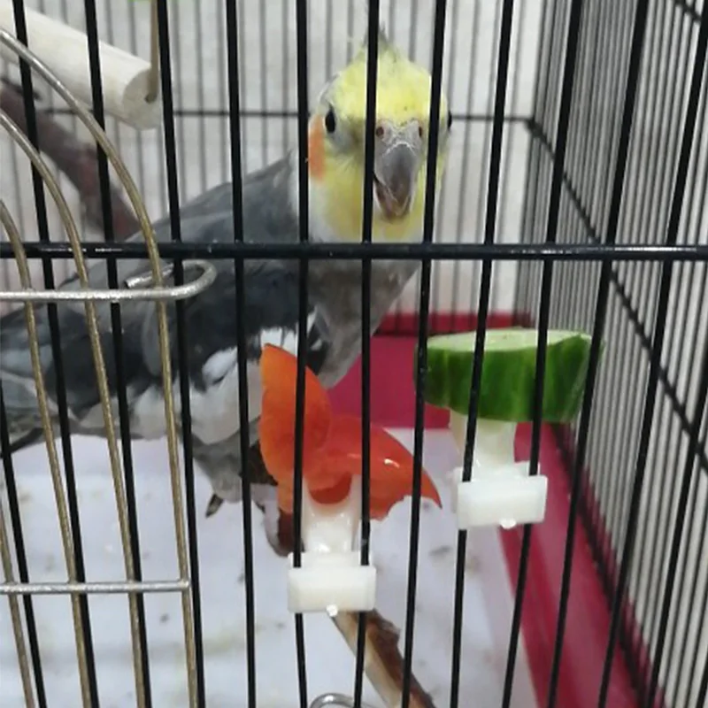 5 шт. пластиковые кормушки для попугаев|Игрушки птиц| |