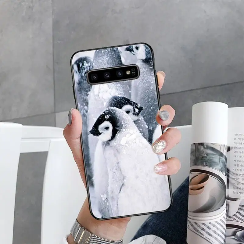 Милый чехол для телефона с изображением пингвина Samsung Galaxy S10 Plus S10E S20 Ultra S7 S8 S9 S10lite