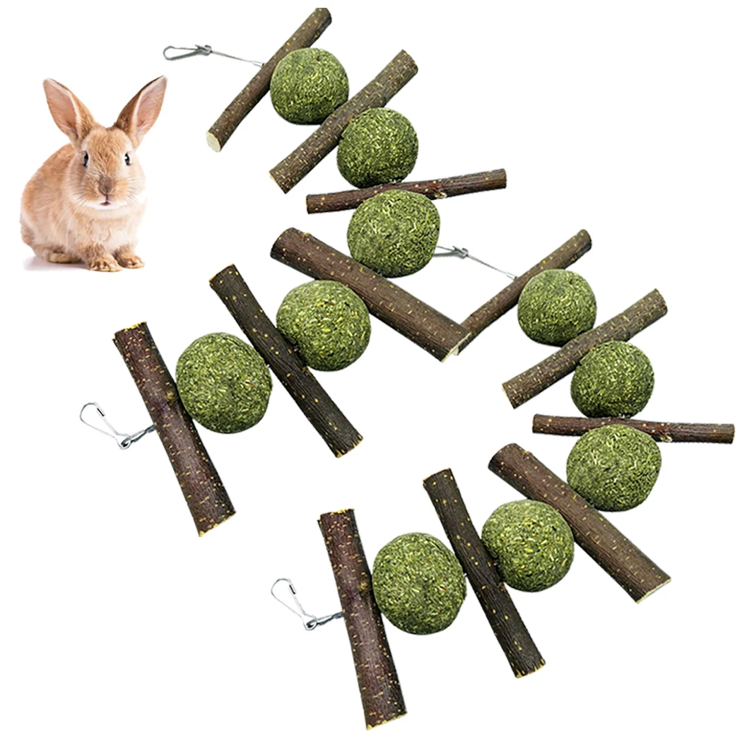 

2Pcs/Set Bunny Chew Balls Chewing Playing Toys Teeth Care Molar Natural Apple Sticks For Rabbits Chinchillas Guinea Pigs Hamster