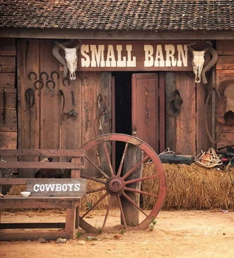 Ковбойская маленькая сарая ферма фото фон для новорожденных детей Виниловый