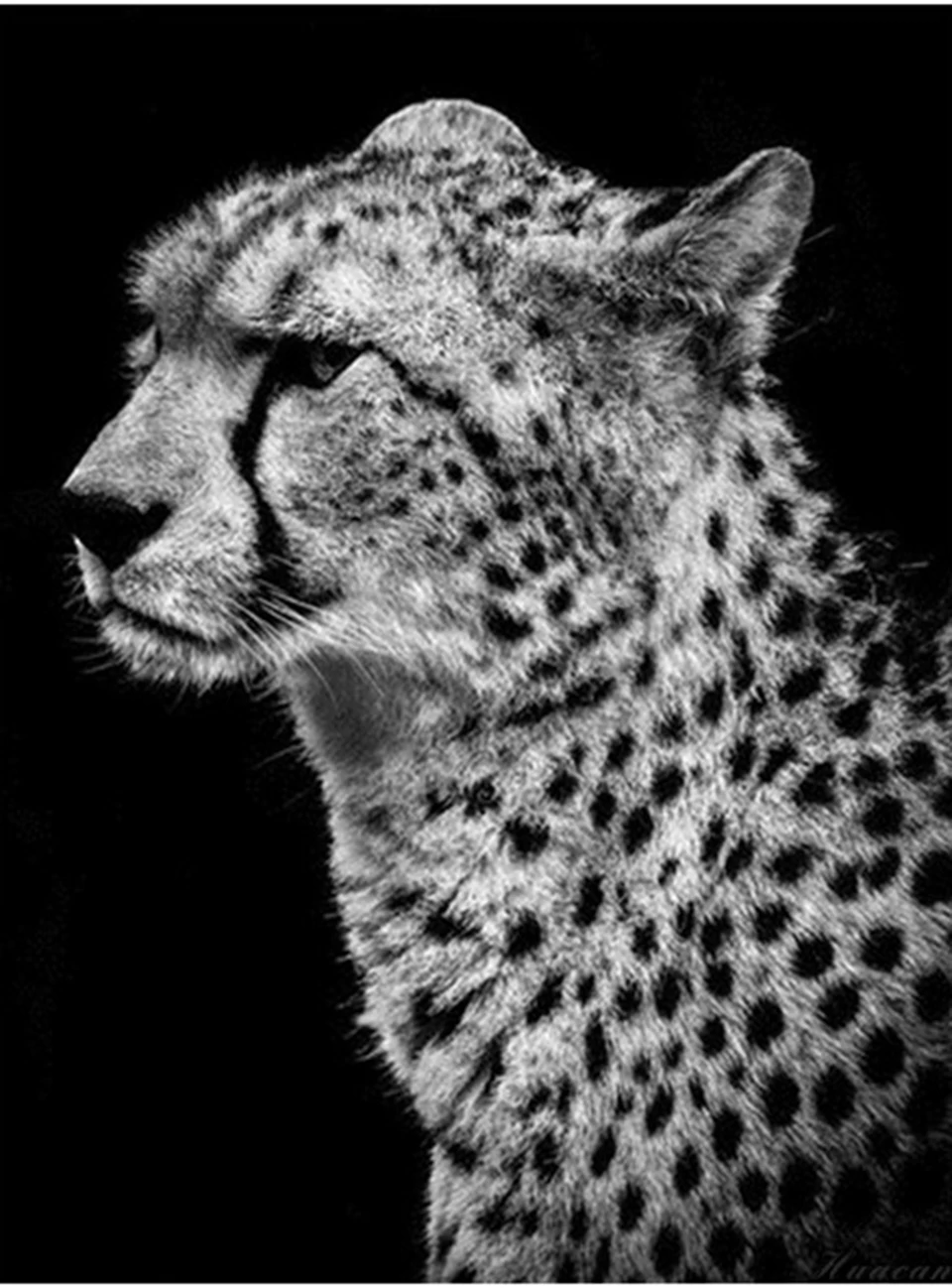 Lepard 5D алмазная картина полный квадратный домашний Декор Ремесло животное