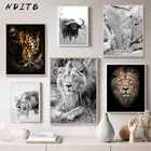 Дикие животные Лев плакат с леопардом скандинавский холст печать черно-белая настенная живопись скандинавский Декор Картина домашний декор
