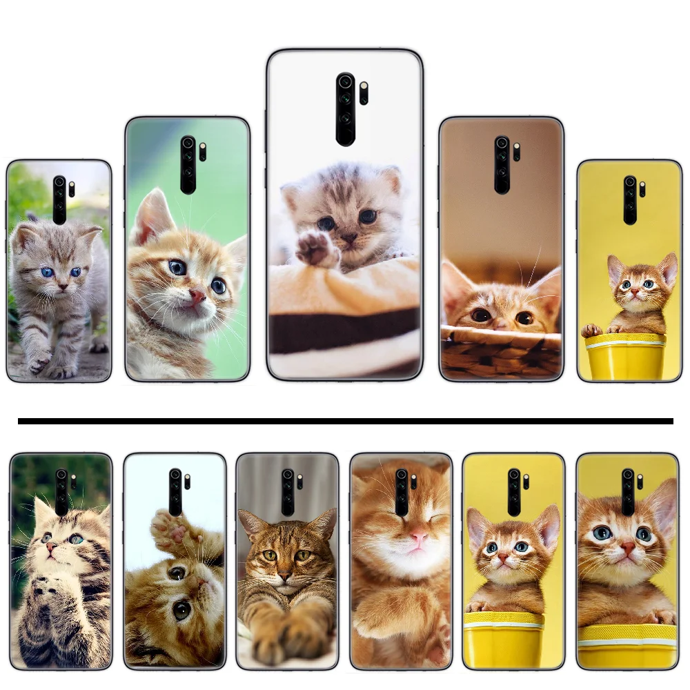 Мягкий милый блестящий чехол для телефона с котом и животными xiaomi Redmi 5 5A plus 7A 8 note 2