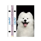 Солнечный свет, наклейка на заднюю крышку, красочная защита экрана, устройство для резки пленки для телефона, наклейка на заднюю крышку