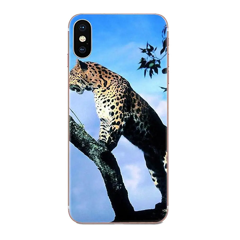 Тонкий термополиуретановый силиконовый чехол &quotВолк тигр Лев Леопард медведь