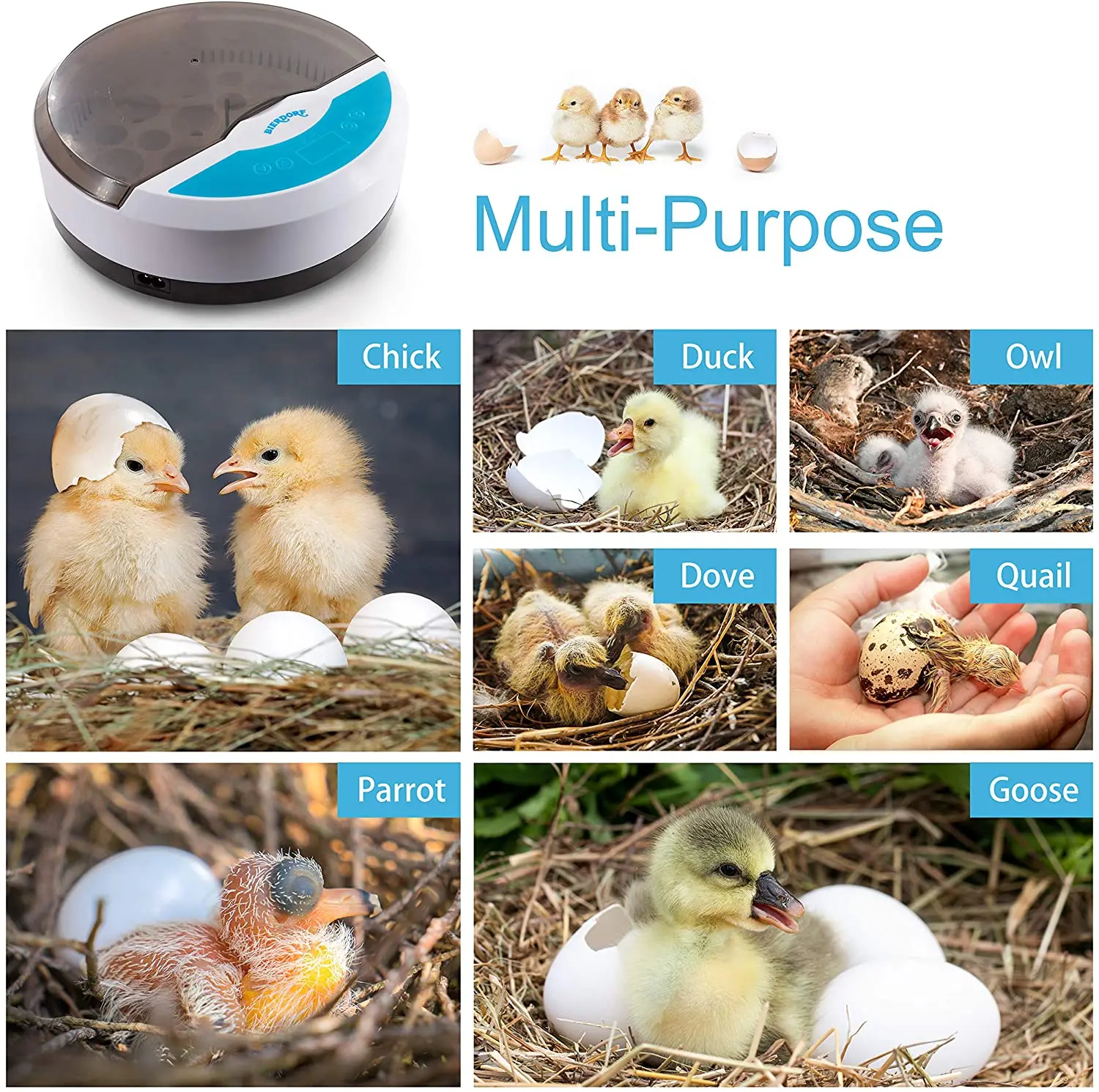 Новинка полностью аоматический светодный инкубатор для 9 яиц инкур птиц