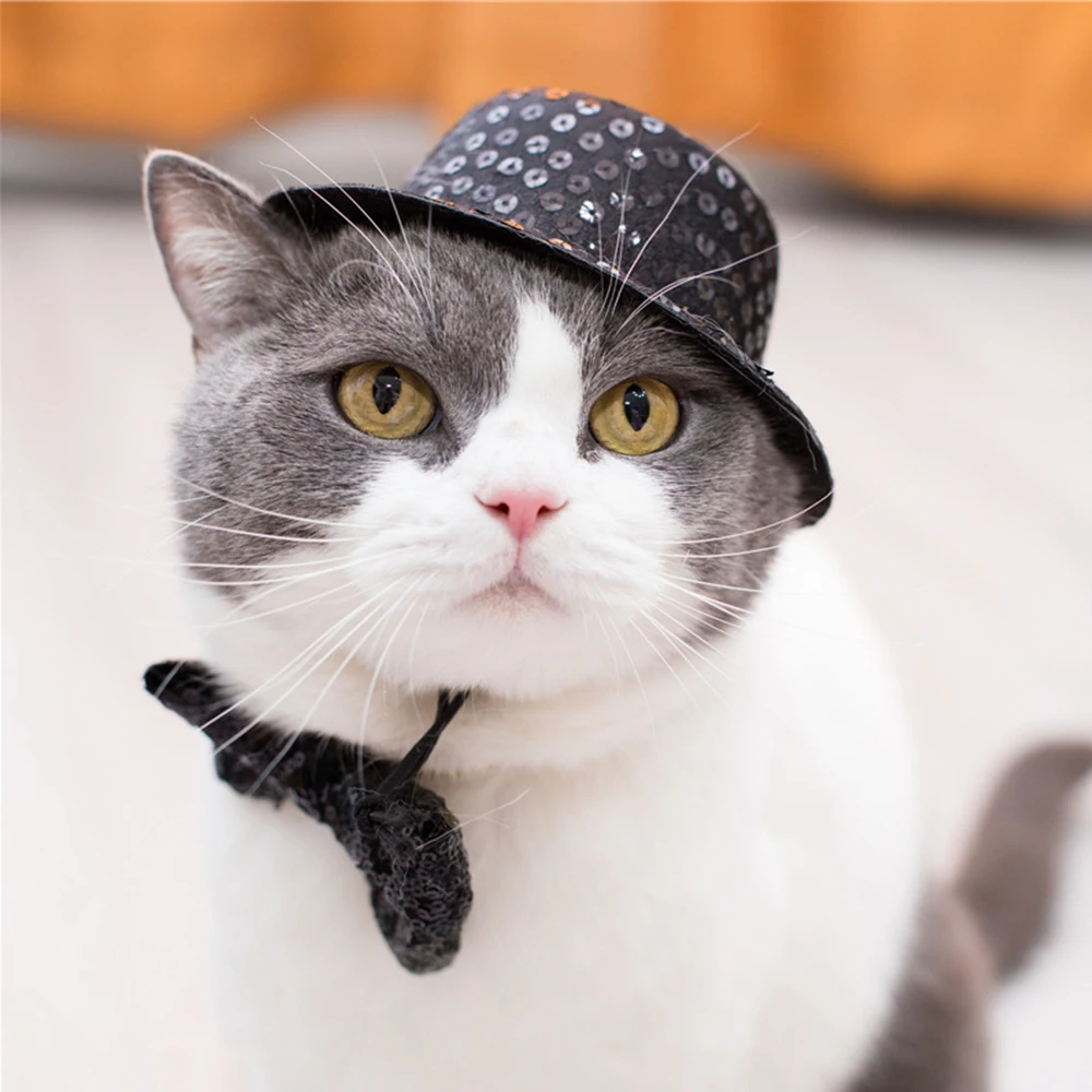 Черные блестки Pet Кепка с прямым козырьком кепки галстук бабочка для животных