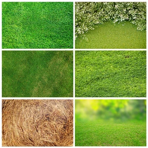 Laeacco зеленое весеннее злаковое сено стек для новорожденных фигурка животного портрет фотографии фоны для фотографий фон фотостудия