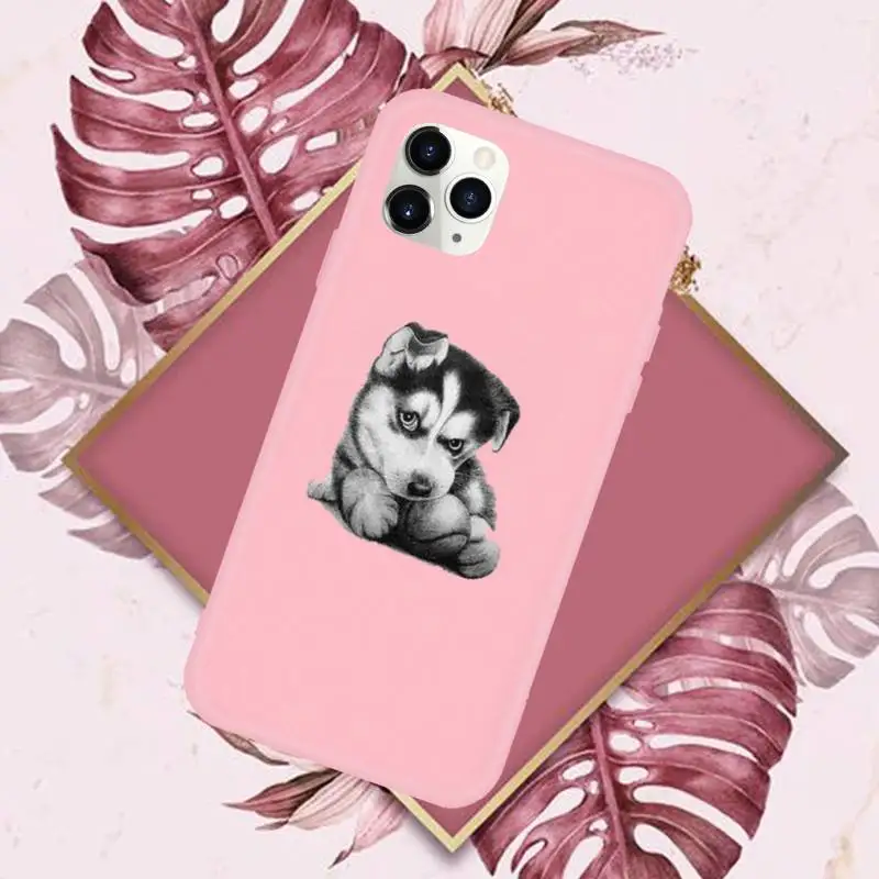 

Husky Kawaii Wolf cute Phone Case Candy Color for iPhone 6 7 8 11 12 s mini pro X XS XR MAX Plus