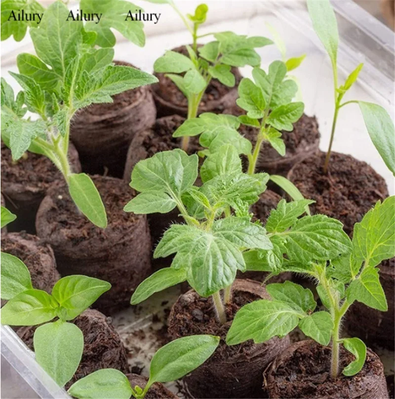 

Seedling Block Nutrient Soil Compression Non-woven Coconut Bran Magic Medium Independent Peat Grow Garden supplies