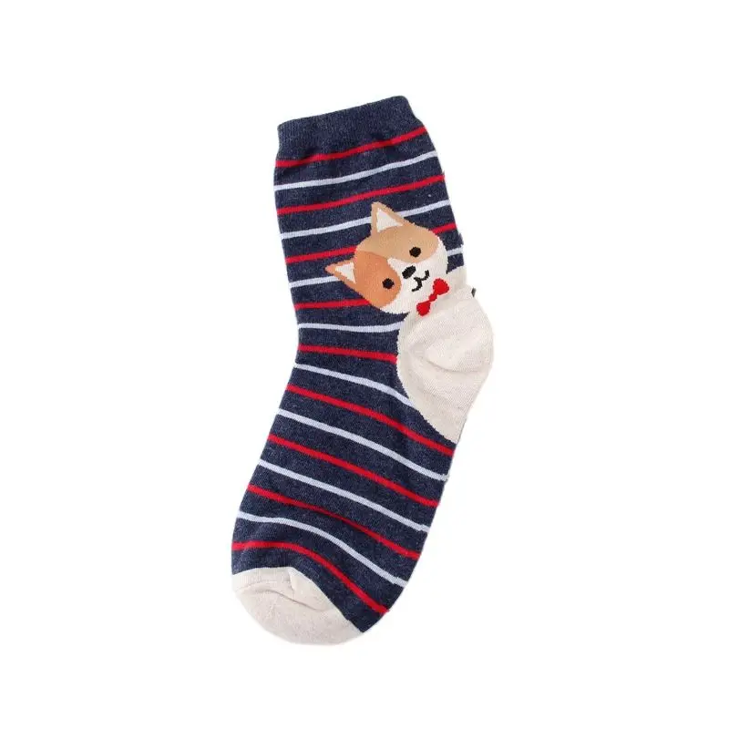 Осенне зимние женские носки хлопковые с рисунком животных милые Harajuku