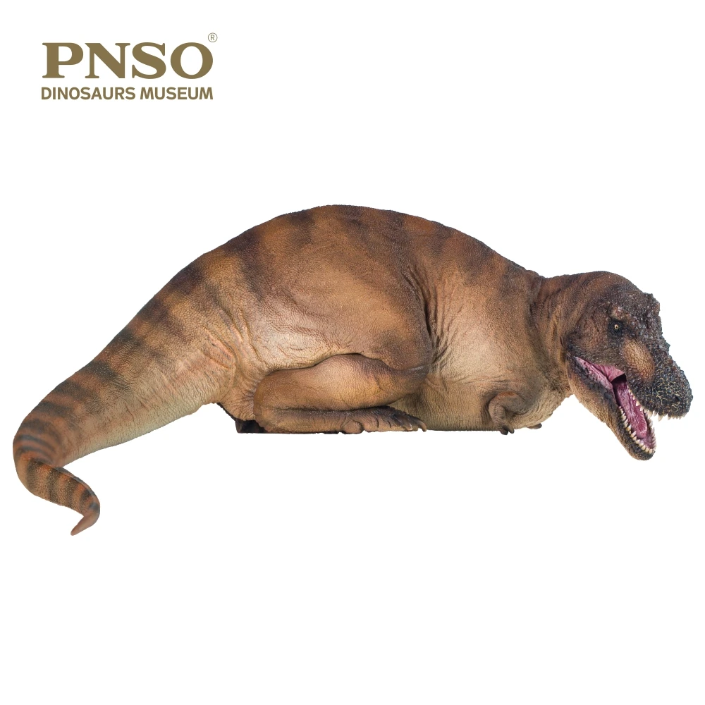 PNSO-dinosaurio Museo de la serie: Andrea el tiranosaurio REX 1:35, modelo de arte cient&iacute;fico-0