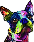 Модные питомцы Boston Terrier, автомобильные мотоциклы, декоративные оконные чашки для ноутбука, художественные отражающие наклейки из ПВХ, 14 см * 12 см