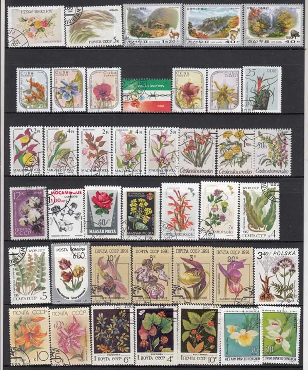 25 шт. случайные цветы все отличаются во многих странах не повторяют