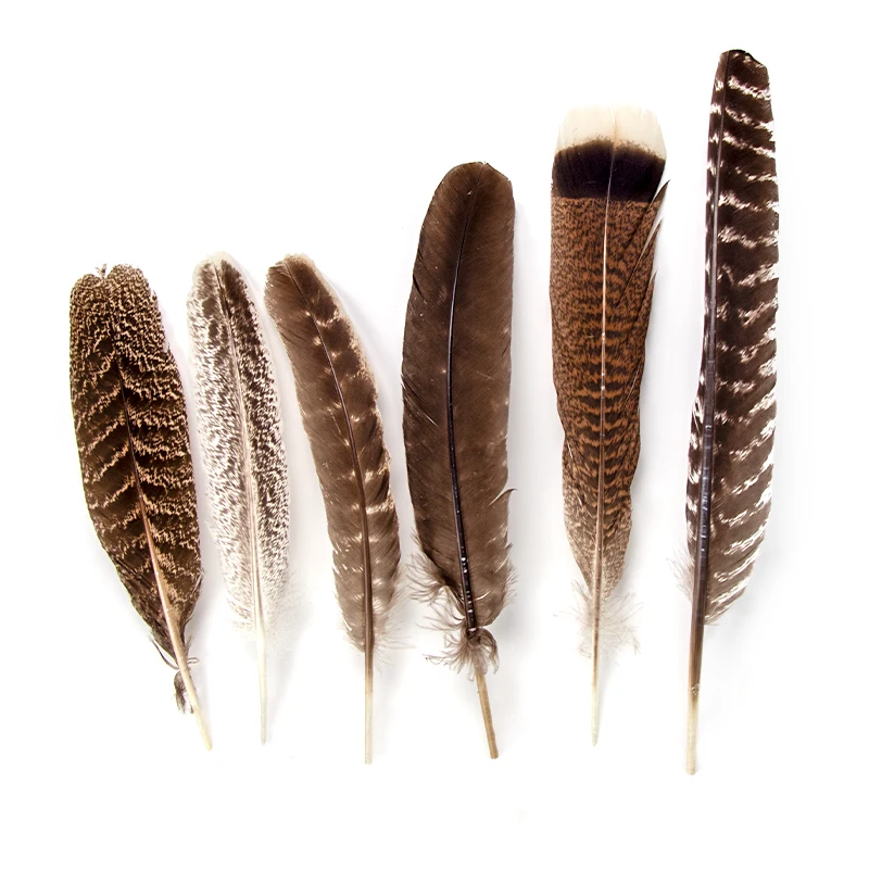 

10pcs Natural Pheasant Eagle Feathers for Crafts Wedding Home Decoration 15-30CM Eagle Plumes Diy Headdress Accessories Plumas