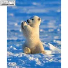 5d diy Алмазная картина с животными вышивка крестиком полярный медведь Луна Алмазная мозаика рукоделие Декор Искусство домашний Декор подарок XY1