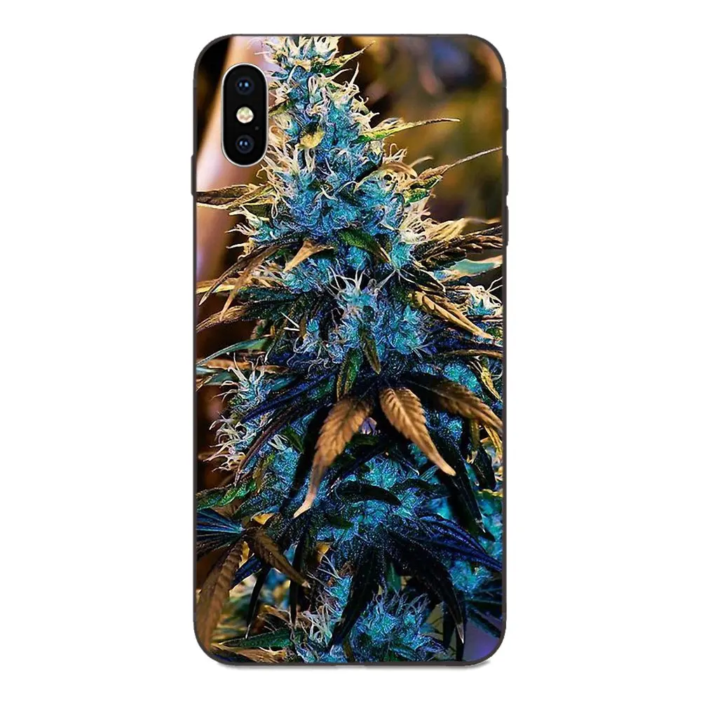 Зеленая трава для курения Diy Окрашенные Apple iPhone 4 4S 5 5S SE 6 6S 7 8 11 Plus X XS Max XR Pro |