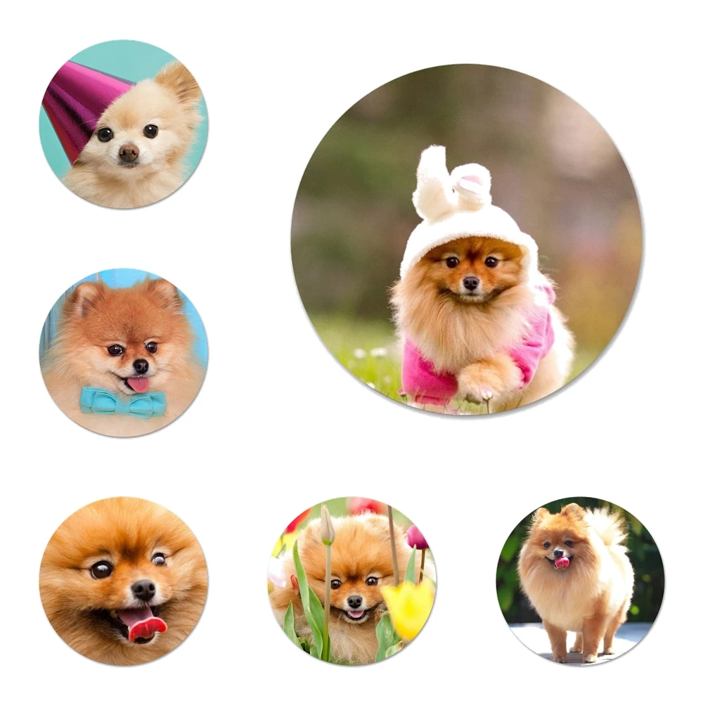 

Pomeranian dog Icons Pins Badge Decoration Brooches Metal Badges For Clothes Backpack Decoration 58mm